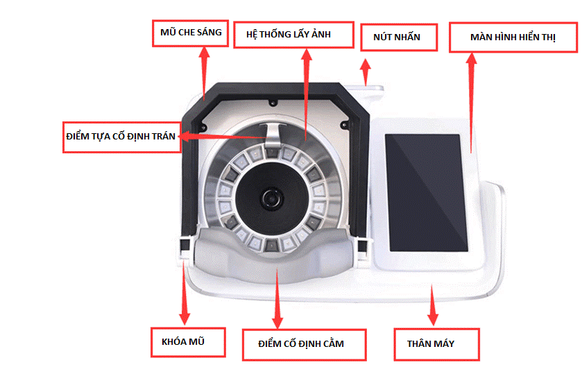 chu thich.png (194 KB)